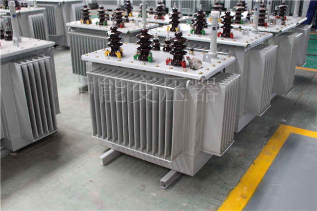 延边S22-100KVA/10KV/0.4KV变压器